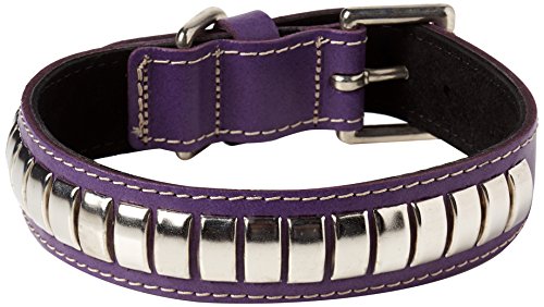 BBD Pet Products Gewölbtes Lederhalsband, Einheitsgröße, 1/4 x 16 bis 19 Zoll, Violett von BBD Pet Products