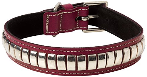 BBD Pet Products Gewölbtes Lederhalsband, Einheitsgröße, 0,6 x 45,7 bis 53,3 cm, Boysenberry von BBD Pet Products