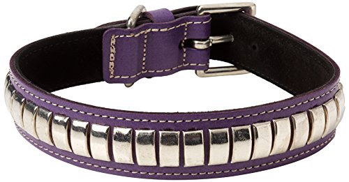 BBD Pet Products Gewölbtes Lederhalsband, Einheitsgröße, 0,6 x 45,7 bis 53,3 cm, Violett von BBD Pet Products