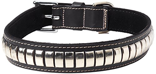 BBD Pet Products Gewölbtes Lederhalsband, Einheitsgröße, 1/4 x 22 bis 25 Zoll, Schwarz von BBD Pet Products