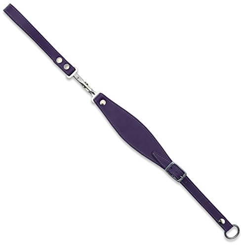 BBD Pet Products Hundehalsband, Schnellverschluss, Einheitsgröße, Violett von BBD Pet Products