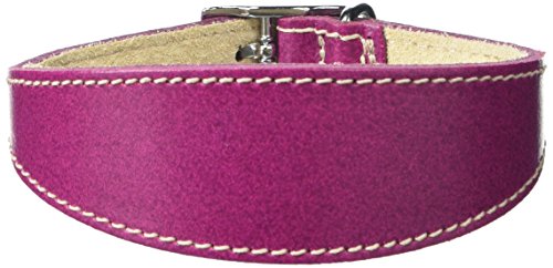 BBD Pet Products Hundehalsband, italienisches Grau, Einheitsgröße, 1,27 x 25,4 bis 30,5 cm, Boysenberry von BBD Pet Products