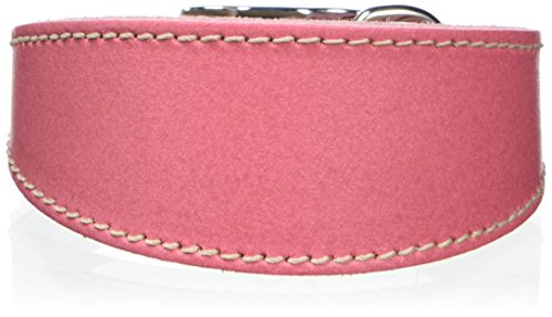 BBD Pet Products Hundehalsband, italienisches Grau, Einheitsgröße, 1,3 x 20,3 cm bis 25,4 cm, Rosa von BBD Pet Products