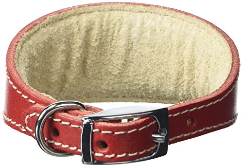 BBD Pet Products Hundehalsband, italienisches Grau, Einheitsgröße, 1,3 x 20,3 cm bis 25,4 cm, Rot von BBD Pet Products