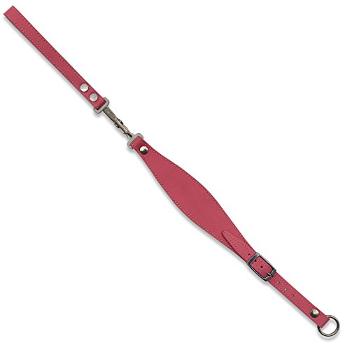 BBD Pet Products Hundehalsband mit Schnellverschluss, Einheitsgröße, Pink von BBD Pet Products