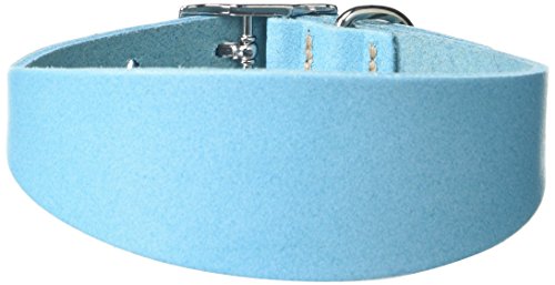 BBD Pet Products Italian G. Hundehalsband, Einheitsgröße, 1,27 x 25,4 bis 30,5 cm, Blau von BBD Pet Products