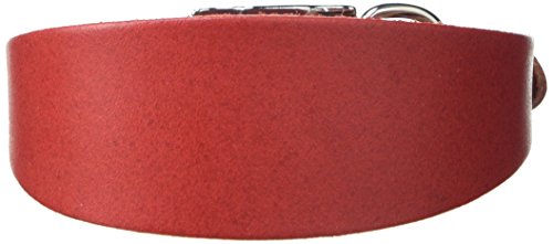 BBD Pet Products Italian G. Hundehalsband, Einheitsgröße, 1,27 x 25,4 bis 30,5 cm, Rot von BBD Pet Products