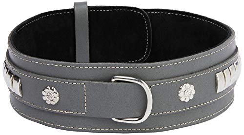 BBD Pet Products Mastiff Halsband, Einheitsgröße, 1,27 x 71,1 cm, Grau von BBD Pet Products