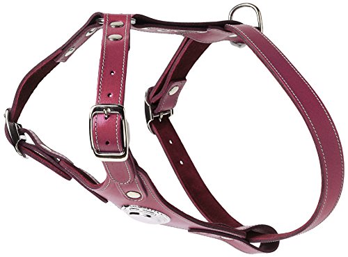 BBD Pet Products Max Bull Terrier Deluxe Hundegeschirr, Einheitsgröße, 78,9 cm, Boysenberry von BBD Pet Products