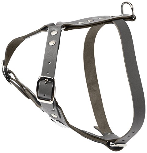 BBD Pet Products Max Bull Terrier Hundegeschirr, Einheitsgröße, 78,9 cm, Grau von BBD Pet Products