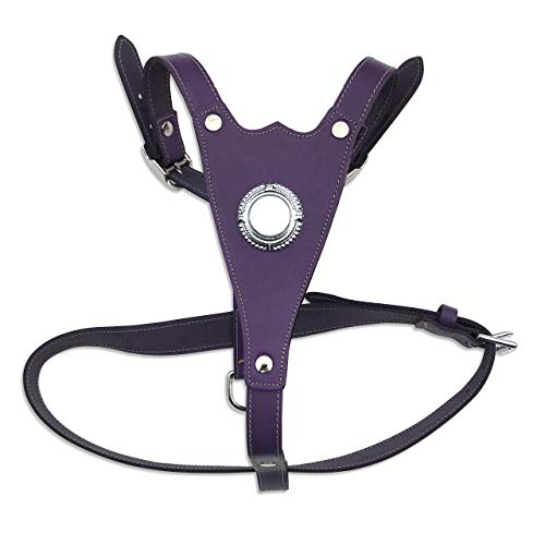 BBD Pet Products Max Mastiff-/Rotwellier-Geschirr, Einheitsgröße, 84 cm, Violett von BBD Pet Products