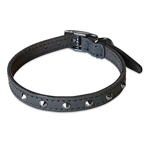 BBD Pet Products Nietenhalsband aus Leder, 1,27 x 25,4 bis 30,5 cm, Einheitsgröße, Grau von BBD Pet Products