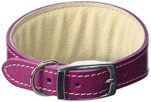 BBD Pet Products Whippet-Halsband, Einheitsgröße, 1,9 x 25,4 bis 30,5 cm, Boysenberry von BBD Pet Products