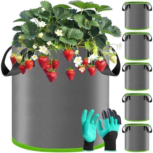 BBLTIFF Pflanzsack, 5X 30L Stofftöpfe mit Griffe und 1 Paar Handschuhe, Pflanzensack aus Vliesstoff, Kartoffel Pflanzsack, Pflanztaschen, Tomaten Kübel für Den Anbau von Tomaten, Blumen, Pflanzensamen von BBLTIFF