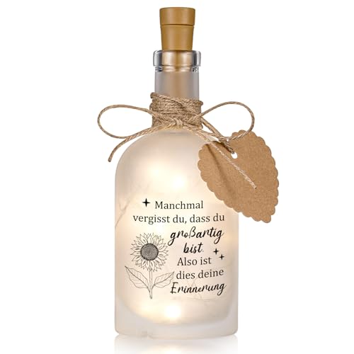 BBTO Dankeschön Kollegen Geschenk LED Flaschenlicht Geldgeschenk inspirierende Geschenk Lichterkette LED Deko Geld Verpackung Mitgebsel Abschiedsgeschenk für Kollegen Mitarbeite Freundin von BBTO