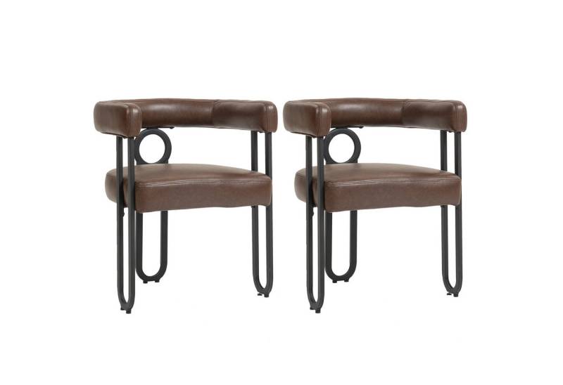 BBWL Esszimmerstuhl 2er Set Esszimmerstuhl,moderne Stühle für Esszimmer,Wohnzimmer von BBWL