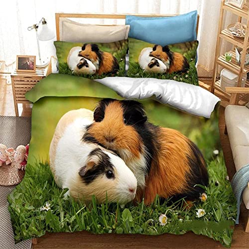 BBZHWSS Bettwäsche 135x200 cm Gelbes Meerschweinchen Mikrofaser Bettwäsche-Set - Bettbezug mit Reißverschluss - Superweiches Bettbezüge mit 2 Kissenbezug 80x80 für Kinder Jungen Madchen BBZHWSS Bettwäsche 135x200 cm Gelbes Meerschweinchen Mikrofaser Bettwäsche-Set - Bettbezug mit Reißverschluss - Superweiches Bettbezüge mit 2 Kissenbezug 80x80 für Kinder Jungen Madchen von BBZHWSS