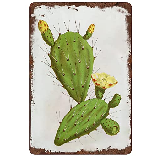 BCHUAN Metall-Blechschild im Kaktus-Retro-Stil, Vintage-Stil, Heimdekoration, Blumenkunst, Sukkulenten, Wandschild, Dekoration, südwestliche botanische Kunst für Zuhause, Küche, Bar, Zimmer, Garage BCHUAN Metall-Blechschild im Kaktus-Retro-Stil, Vintage-Stil, Heimdekoration, Blumenkunst, Sukkulenten, Wandschild, Dekoration, südwestliche botanische Kunst für Zuhause, Küche, Bar, Zimmer, Garage von BCHUAN