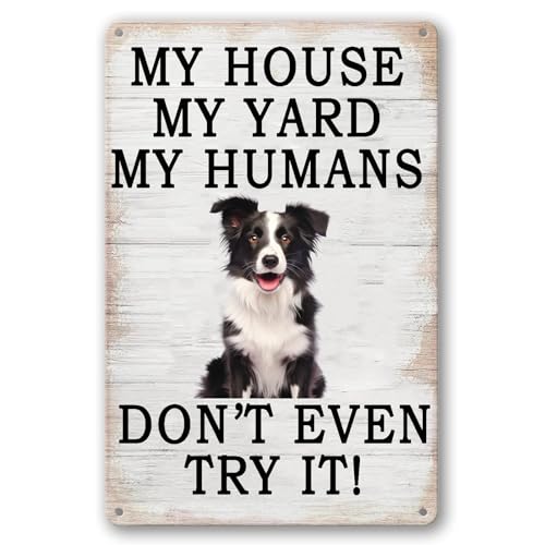Lustiges Hunde-Blechschild mit Aufschrift "My House My Yard My Humans Don't Even Try It", Retro-Hundeposter, Blechschild, Bordüre, Collie, Wanddekorationen für Garten, Outdoor, Küche, Heimdekoration Lustiges Hunde-Blechschild mit Aufschrift "My House My Yard My Humans Don't Even Try It", Retro-Hundeposter, Blechschild, Bordüre, Collie, Wanddekorationen für Garten, Outdoor, Küche, Heimdekoration von BCHUAN