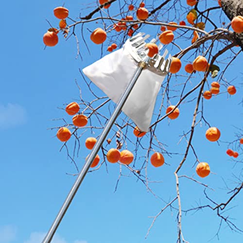 BCJMKDX Obstpflücker, Obsterntemaschine for Ernten von Äpfeln, Birnen, Zitronen und Orangen, mit ausziehbarer Teleskopstange und rutschfestem Griff(5m/16ft) von BCJMKDX