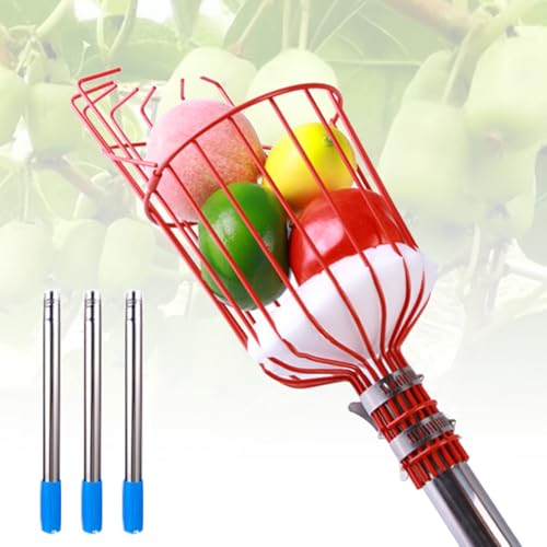 BCJMKDX Obstpflücker, Stange mit Korb, Obstpflücker aus Edelstahl mit schützender Schaumstoffauflage, Obstbaumpflücker for Avocado, Aprikose, Birne(1.2m) von BCJMKDX