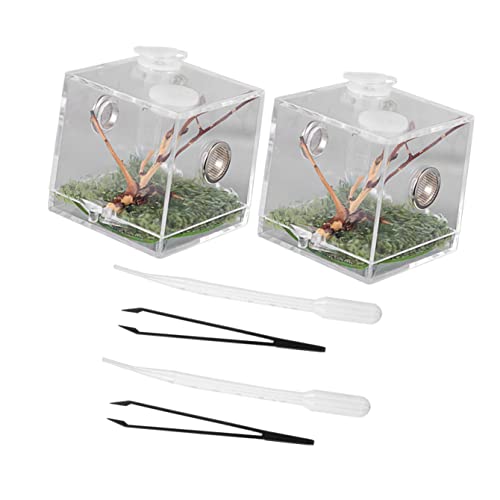 BCOATH 2Sätze Jumping Habitat Box aus Acryl Insektenfütterungsbox für Spinnen Terrarium für Spinnenhaltung und Zucht Box für Arachniden und Reptilien BCOATH 2Sätze Jumping Habitat Box aus Acryl Insektenfütterungsbox für Spinnen Terrarium für Spinnenhaltung und Zucht Box für Arachniden und Reptilien von BCOATH