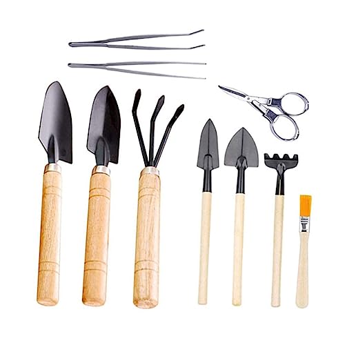 BCOATH 10 Stück Teiliges Mini Gartenwerkzeug Handliches Sukkulenten pflanz Transplantier Praktisch Wiederverwendbar für Bonsai und Zimmerpflanzenpflege von BCOATH