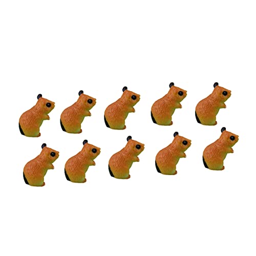 BCOATH 10 Stück Teiliges Resin Hamster Miniatur Bonsai Dekoration Feine Mikrolandschaft Figuren Garten Büro Wohnraum Deko Realistische Verarbeitung Kratzfest BCOATH 10 Stück Teiliges Resin Hamster Miniatur Bonsai Dekoration Feine Mikrolandschaft Figuren Garten Büro Wohnraum Deko Realistische Verarbeitung Kratzfest von BCOATH