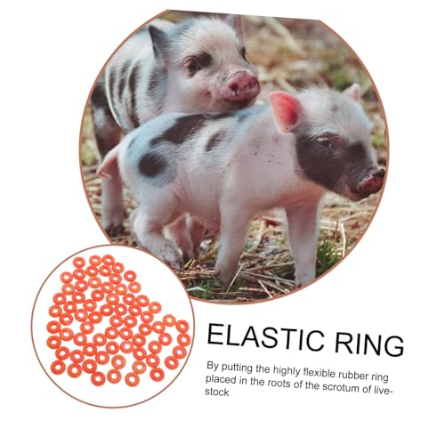 BCOATH 100 Stück Elastische Kastrationsringe aus Strapazierfähigem Gummi für Schweine Rinder Schafe Hochflexible Langlebige Schwanzschneider ringe für Einfache Tierkastration ohne BCOATH 100 Stück Elastische Kastrationsringe aus Strapazierfähigem Gummi für Schweine Rinder Schafe Hochflexible Langlebige Schwanzschneider ringe für Einfache Tierkastration ohne von BCOATH
