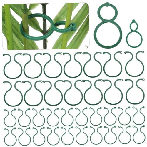 BCOATH 100Stücke Gartenclips Pflanzenstützclips für Tomaten und Praktische Kunststoffklammern zur Sicherung von Pflanzen Verschiedenen zu Bedienen BCOATH 100Stücke Gartenclips Pflanzenstützclips für Tomaten und Praktische Kunststoffklammern zur Sicherung von Pflanzen Verschiedenen zu Bedienen von BCOATH