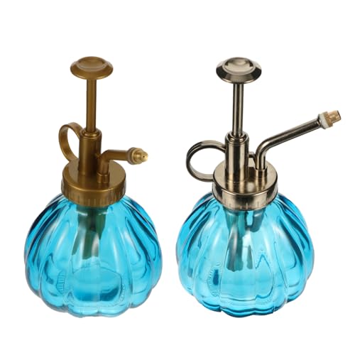 BCOATH 2 Stück Teiliges Glas Vintage Mini Gießkanne mit Präziser Wasserstrahlsteuerung Ergonomisch Transparent für Zimmerpflanzen Sukkulenten Bonsai und Gartenpflege BCOATH 2 Stück Teiliges Glas Vintage Mini Gießkanne mit Präziser Wasserstrahlsteuerung Ergonomisch Transparent für Zimmerpflanzen Sukkulenten Bonsai und Gartenpflege von BCOATH