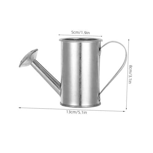 BCOATH Gartengießkanne aus Galvanisiertem Eisen mit Langem Auslauf Robuste Wiederverwendbare Metall gießkanne für Indoor Outdoor Pflanzen für Blumen Setzlinge und Große Bewässerung von BCOATH