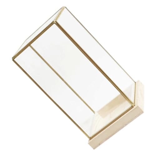 BCOATH Glas Vitrinenkuppel Abdeckungshalter Vitrine Glas Organizer Glaskuppel Abdeckung Glasvitrine Für Die Vitrine Glaskuppel Kleine Glaskugel Figur Aufbewahrungsbox von BCOATH