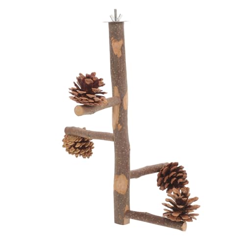 BCOATH Natürliche Vogel Holz sitzstange mit Kletterfunktion und Stabilem Holzständer für Papageien und Wellensittiche Beißfestes Vogelspielzeug für Vogelkäfig und von BCOATH