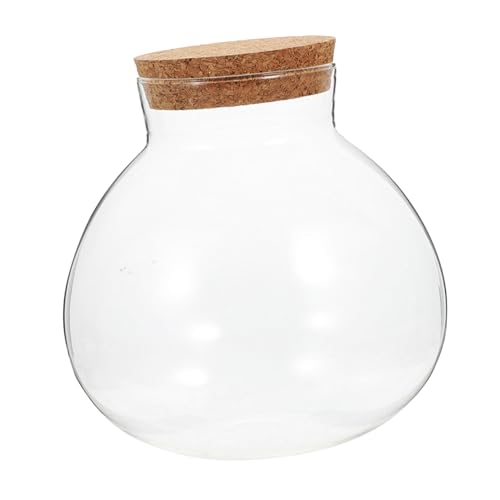 BCOATH Ökologische Mikrolandschaftsflasche verschlossenes Glasgefäß transparentes Flaschendisplay Glasanlagenbehälter Moosglas Flasche mit Mikrolandschaft Süßigkeitenglas Glasflasche Kork von BCOATH