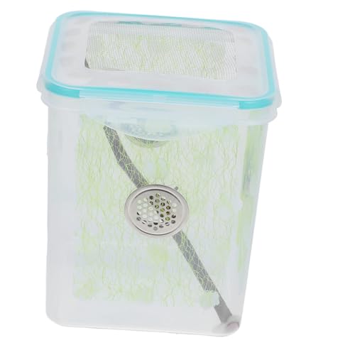 BCOATH Reptilien Futterbox Fütterungs und Beobachtungsbox für Spinnen Insekten und Tragbares Terrarium aus Robustem mit Belüftungslöchern für Optimale von BCOATH