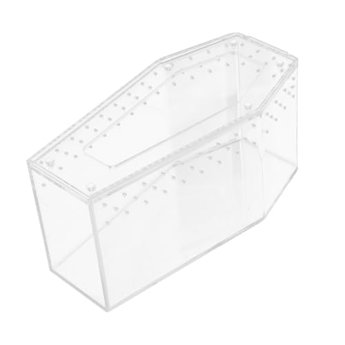 BCOATH Transparenter Reptilien Terrarium mit Sicherem Verschluss Kompakte Aufzuchtbox für Schildkröten Echsen Spinnen und Skorpione für Schreibtisch und Beobachtung von BCOATH