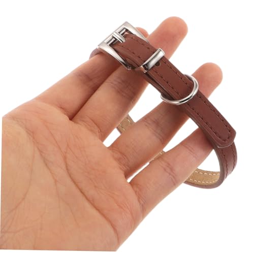 BCOATH Verstellbares Haustierhalsband S für Kleine und Welpen Pu-Material Verstellbarer Verschluss Bequemes Halsband für Hunde und Vielseitiges Schmuck-Accessoire BCOATH Verstellbares Haustierhalsband S für Kleine und Welpen Pu-Material Verstellbarer Verschluss Bequemes Halsband für Hunde und Vielseitiges Schmuck-Accessoire von BCOATH