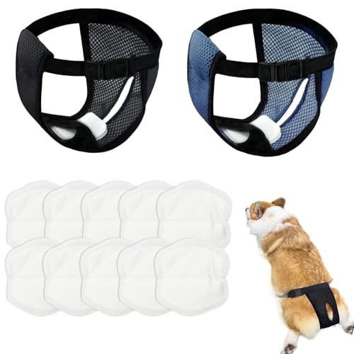 2er Pack Höschen für Hunde Läufigkeit, Läufigkeitshose Hund Wiederverwendbare, Hunde Höschen mit 10 Damenbinden, Einstellbar schutzhose hündin, Waschbare Schutzhose, Schwarz und Blau, L von BCYSNR