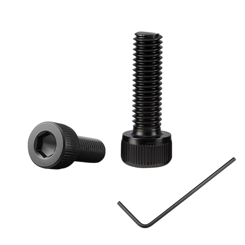 100 Stück M2x6 Schrauben,Zylinderkopfschrauben mit Innensechskant,Zylinderschrauben mit 1 Innensechskantschlüssel Vollgewinde aus Kohlenstoffstahl (schwarz) für Befestigungselemente (M2, Länge:6mm) von BD-Herego