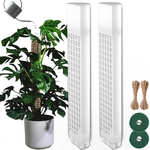 BDHHFAM Selbstbewässerung Moosstab D Form - 2x44cm stabile Kunststoff-Pflanzenhalter für Zimmerpflanzen - 80 cm Moosstab für das Training von Pflanzen, die nach Oben Klettern (2, weiß) von BDHHFAM