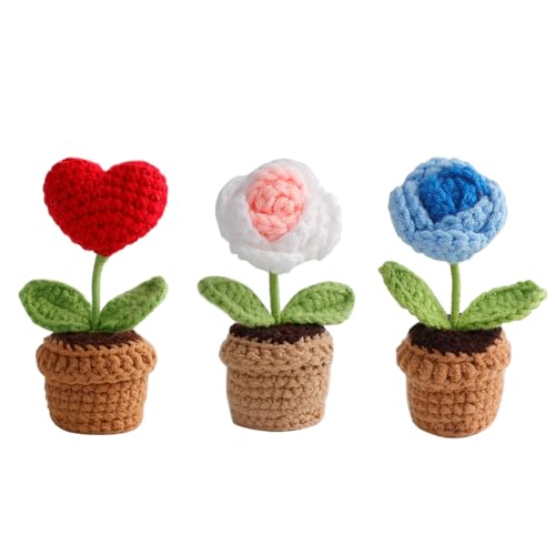 BDHYYM 3 Stück Gehäkelte Blumen, Künstliche Blume Häkeln Blumen Topf Pflanze, Mini gestrickte Blumen, Kleine Handgefertigte Häkeln Blume, Häkelblumen für Tischdekoration Wohnzimmer Büro Auto Deko von BDHYYM