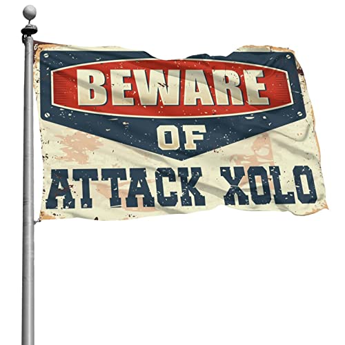 Flagge für Wohnheim, lustige Xolo-Flagge, College-Poster für Jungs, lustige Terrassendekoration (30 x 45 cm) von BDIX