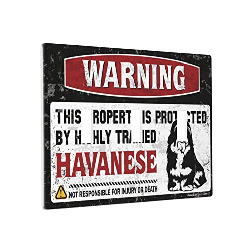 Wandplatten Warnung, dass dieses Eigentum durch einen gut ausgebildeten Havanesischer-Schalter geschützt ist, Wandplattenabdeckung, Lichtschalter-Abdeckplatte, Dreifachschalter-Abstellgleis Wandplatten Warnung, dass dieses Eigentum durch einen gut ausgebildeten Havanesischer-Schalter geschützt ist, Wandplattenabdeckung, Lichtschalter-Abdeckplatte, Dreifachschalter-Abstellgleis von BDIX