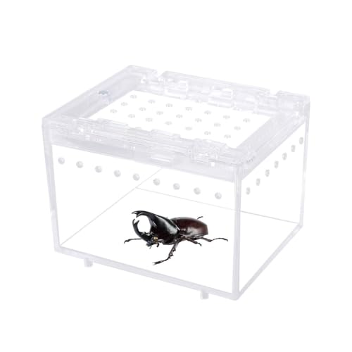 Mini Reptilien Terrarium Stapelbare Reptilien Futterbox mit Magnetverschluss & Wasserdichtes Gehege für Spinnen, Vogelspinnen, Schnecke, Mantis, Eidechse Mini Reptilien Terrarium Stapelbare Reptilien Futterbox mit Magnetverschluss & Wasserdichtes Gehege für Spinnen, Vogelspinnen, Schnecke, Mantis, Eidechse von BDKMMS
