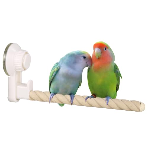 Saugnapf Vogelsitzstange, 20 cm, tragbarer Papageienständer aus Holz mit Saugnapf, rutschfester Vogelständer für Fenster, Spiegel, Auto, Reisen, Dusche Saugnapf Vogelsitzstange, 20 cm, tragbarer Papageienständer aus Holz mit Saugnapf, rutschfester Vogelständer für Fenster, Spiegel, Auto, Reisen, Dusche von BDKMMS