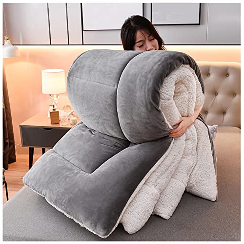 BDMFJY Steppdecke, Flauschige Kaschmir Steppdecken für Allergiker Duvet, Verdicken Sie Lamm Kaschmir Decke Winter Weiche Warme Bettdecke Bettwäsche,Grau,180x220cm（3.5kg） von BDMFJY
