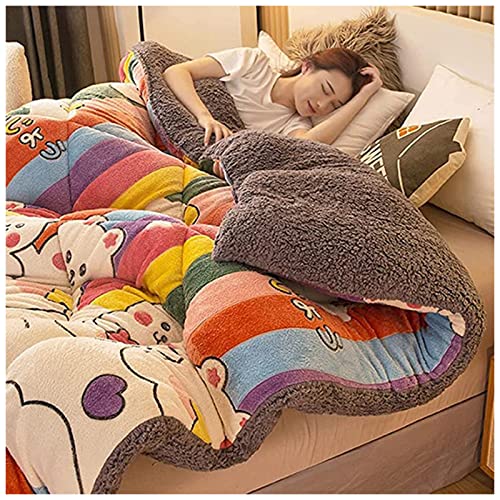 BDMFJY Winter Lamm Samt Stoff Steppdecke, Super Weich und Warm Hohlfaser Gefüllte Steppdecke, Hygroskopisch Atmungsaktiv Kaschmir Quilt Anti-Allergie Daunendecke, Mehrfarbig,K,220x240cm(5kg) von BDMFJY