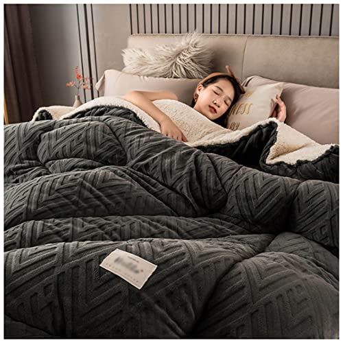 BDMFJY Winter Lamm Samt Stoff Verdicken Steppdecke, Super Weich und Warm Faser Steppdecke, Hygroskopisch Atmungsaktiv Kaschmir Quilt Anti-Allergie Daunendecke,C,200x230cm(5kg) von BDMFJY