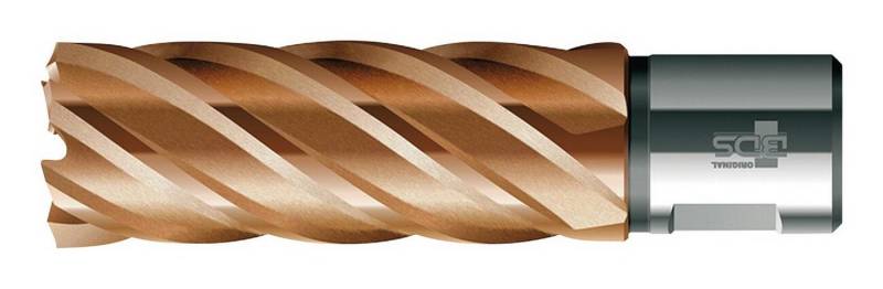 BDS Kernbohrer, VARIOPlus lang KBI HSS Schaft Weldon 25/50 mm BDS Kernbohrer, VARIOPlus lang KBI HSS Schaft Weldon 25/50 mm von BDS